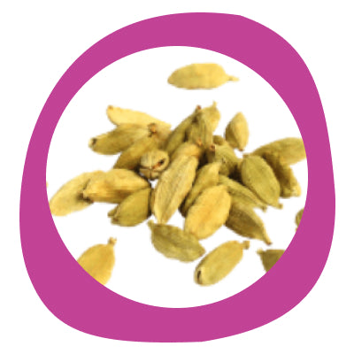 Cardamom