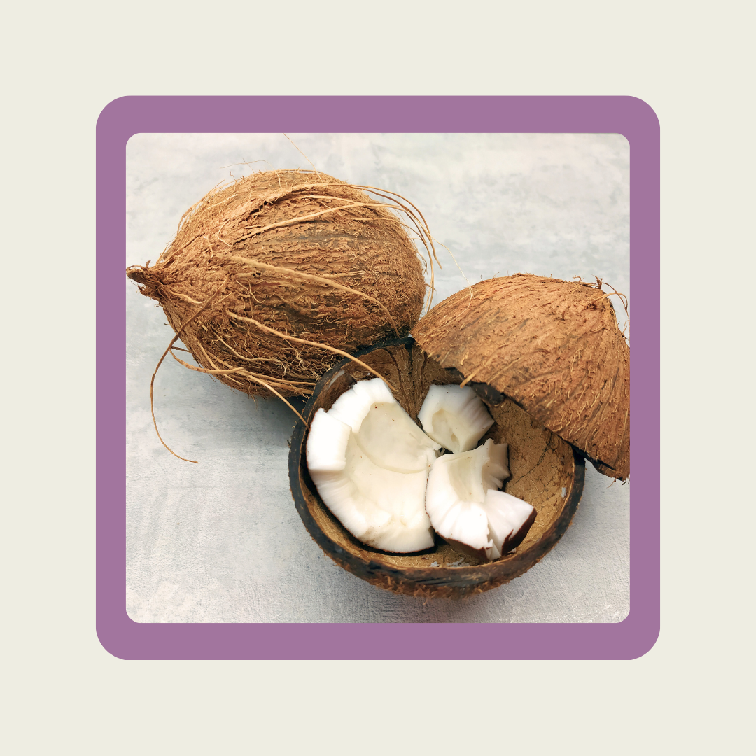 Coconut
