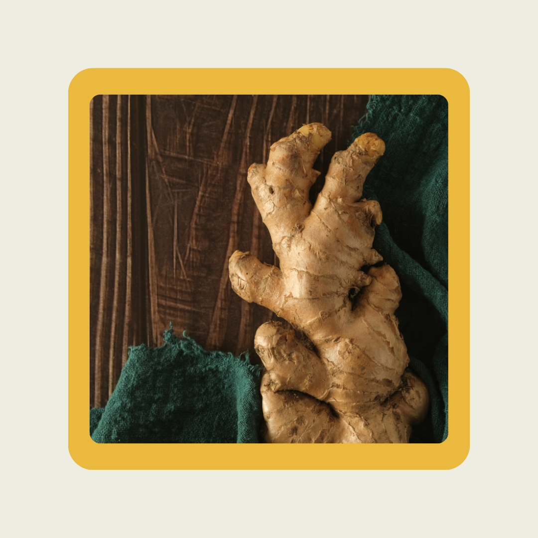 Ginger