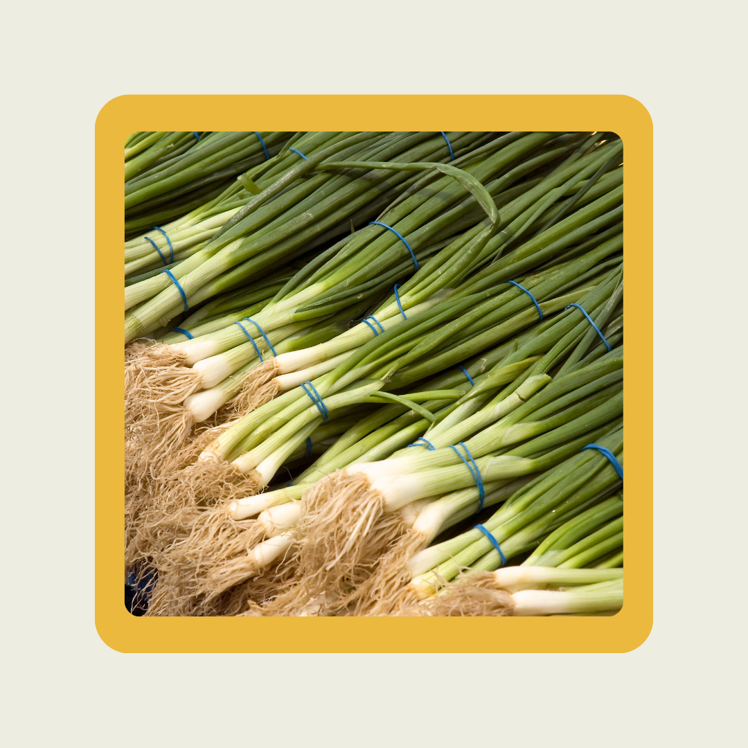 Scallions Spring Onions