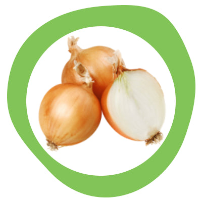 Onion